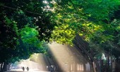 Thời tiết 22/9: Bắc Bộ và Bắc Trung Bộ ngày nắng
