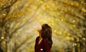 Miền Bắc hanh khô khó chịu
