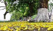 Hà Nội đêm và sáng trời lạnh
