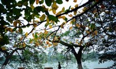 Hà Nội không mưa, đêm và sáng trời lạnh