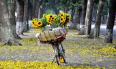 Thời tiết 2/12: Hà Nội có mưa vài nơi, trưa chiều giảm mây trời nắng