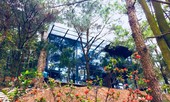 Vụ 'xẻ thịt' đất rừng xây biệt thự ở Sóc Sơn: Thanh tra toàn diện