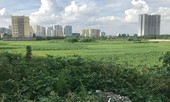 Hà Nội: Giải quyết dứt điểm các dự án 'chây ỳ' trong quý I/2019