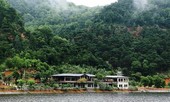 Hà Nội thanh tra việc đấu thầu mua sắm thiết bị y tế, vi phạm đất đai