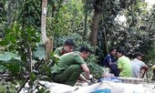 Hai mẹ con bị chàng rể chém thương vong