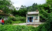 Đi hát karaoke về muộn bị mắng, con gái dùng gậy đánh chết cha