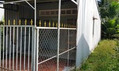 Lời khai của người giúp việc hành hạ cụ bà ngoài 90 tuổi