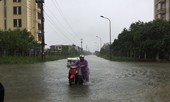Mưa kéo dài, nhiều tuyến phố ở Hà Tĩnh ngập nặng