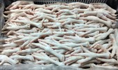 Giám sát chặt container chứa chân gà nhập từ Ba Lan nghi nhiễm khuẩn