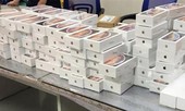 Chính phủ chỉ đạo xác minh vụ nhập khẩu hơn 1.100 iPhone Xs