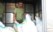 TPHCM phát hiện nhiều cơ sở kinh doanh đường cát lậu