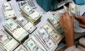 USD lập đỉnh mới, giá ‘chợ đen’ vượt mốc 23.600 đồng