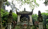 Câu chuyện bảo tồn