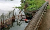 Thi thể đôi nam nữ nổi trên hồ cá
