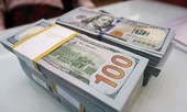 HSC: Ngân hàng Nhà nước đã bán ra 2,5 tỷ USD can thiệp thị trường