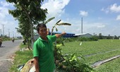 Sẽ cưỡng chế, tháo dỡ cơ sở nhôm hoạt động 'chui' gây ô nhiễm