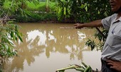 Em chồng đâm chết chị dâu lúc sáng sớm