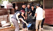 Cứu hộ khẩn một cá thể gấu ngựa tại Lào Cai
