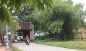 Ngôi làng toàn những căn nhà cổ trăm tuổi giá bạc tỷ ở Hà Nội