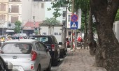 Bãi rác lộ thiên trên đường Đào Duy Anh