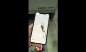 iPhone Xs Max đầu tiên thế giới bị vỡ màn hình
