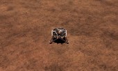 Tàu Insight của NASA đã thu được 'tiếng thở' đầu tiên từ sao Hỏa