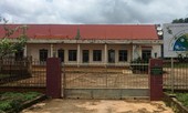 Vụ gỗ Phượng 'râu': Lại bắt thêm cán bộ kiểm lâm