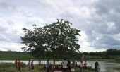Kinh hãi phát hiện thi thể phụ nữ nổi trên sông