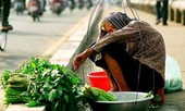 Ngày Tết, nghẹn ngào đọc lá thư bố mẹ gửi con