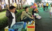 Khi cử nhân “trốn” Tết gia đình
