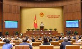 Truyền thông thế giới đưa tin Quốc hội VN phê chuẩn Hiệp định CPTPP