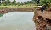 Hai em nhỏ chết đuối dưới hồ khi đi hái phong lan