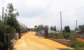 Chủ tịch, cán bộ địa chính xã bị khởi tố vì tiếp tay lấn chiếm đất