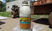 Lo sợ đi tù sau khi đánh người, thiếu niên uống thuốc diệt cỏ tự tử
