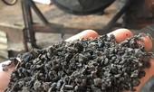 Ngày mai các đối tượng nhuộm pin vào phế phẩm để trộn tiêu hầu tòa