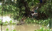 Kinh hãi phát hiện thi thể trôi trên sông Sài Gòn
