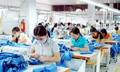 Đưa nhiều cải cách lớn vào Bộ luật Lao động sửa đổi