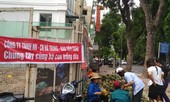 Hỗ trợ nông dân bán lẻ dứa tại bến xe, nhà ga