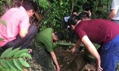 Tin đồn 3 tấn vàng trong hang đá gây mất trật tự trị an
