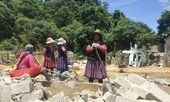 29 đối tượng trốn nã ở Lóng Luông chưa đầu thú