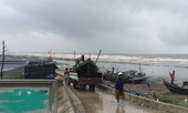 Khẩn trương ứng phó cơn bão số 3
