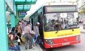 Hàng loạt tuyến buýt Hà Nội được 'dỡ' ra đấu thầu