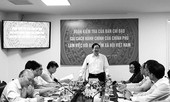 Ban Chỉ đạo Cải cách Hành chính của Chính phủ làm việc với BHXH Việt N