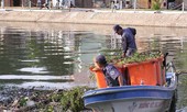 Hàng nghìn tỷ trôi sông vì rác