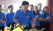 50 năm Chiến thắng Ðồng Lộc: Giá trị lịch sử và hiện thực
