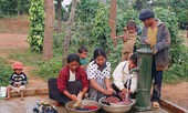 Gia hạn dự án cải thiện môi trường nước