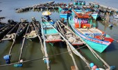 Nỗi ám ảnh mang tên ... sạt lở: Tha phương cầu thực