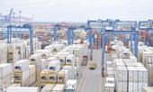Doanh nghiệp từ chối nhận phế liệu, nguy cơ 'kẹt' cảng
