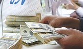 Doanh nghiệp cần đa dạng hóa tiền tệ thanh toán