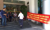 Rã rời những 'cánh chim' Cienco